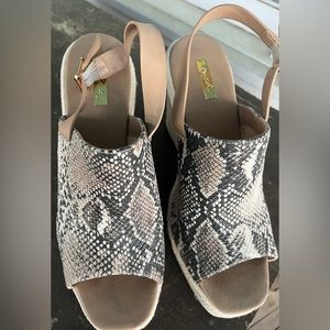Qupid Wedge by Buckle, Snakeskin print
